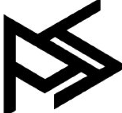 Paseki Strategies Corporation Logo