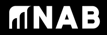 NAB Architect Company Logo